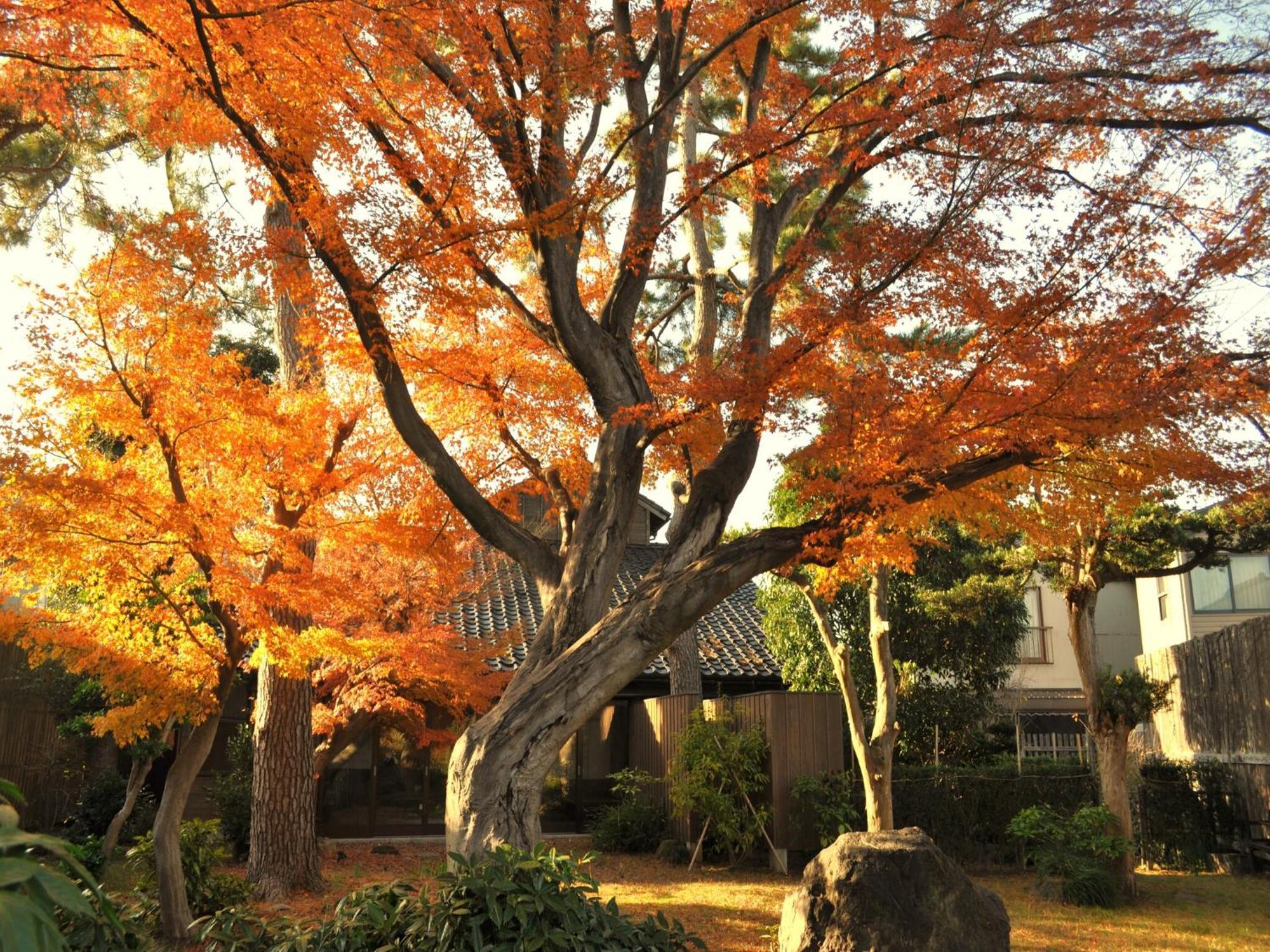 Machi No Odoriba Hotel Kanazawa Exterior photo
