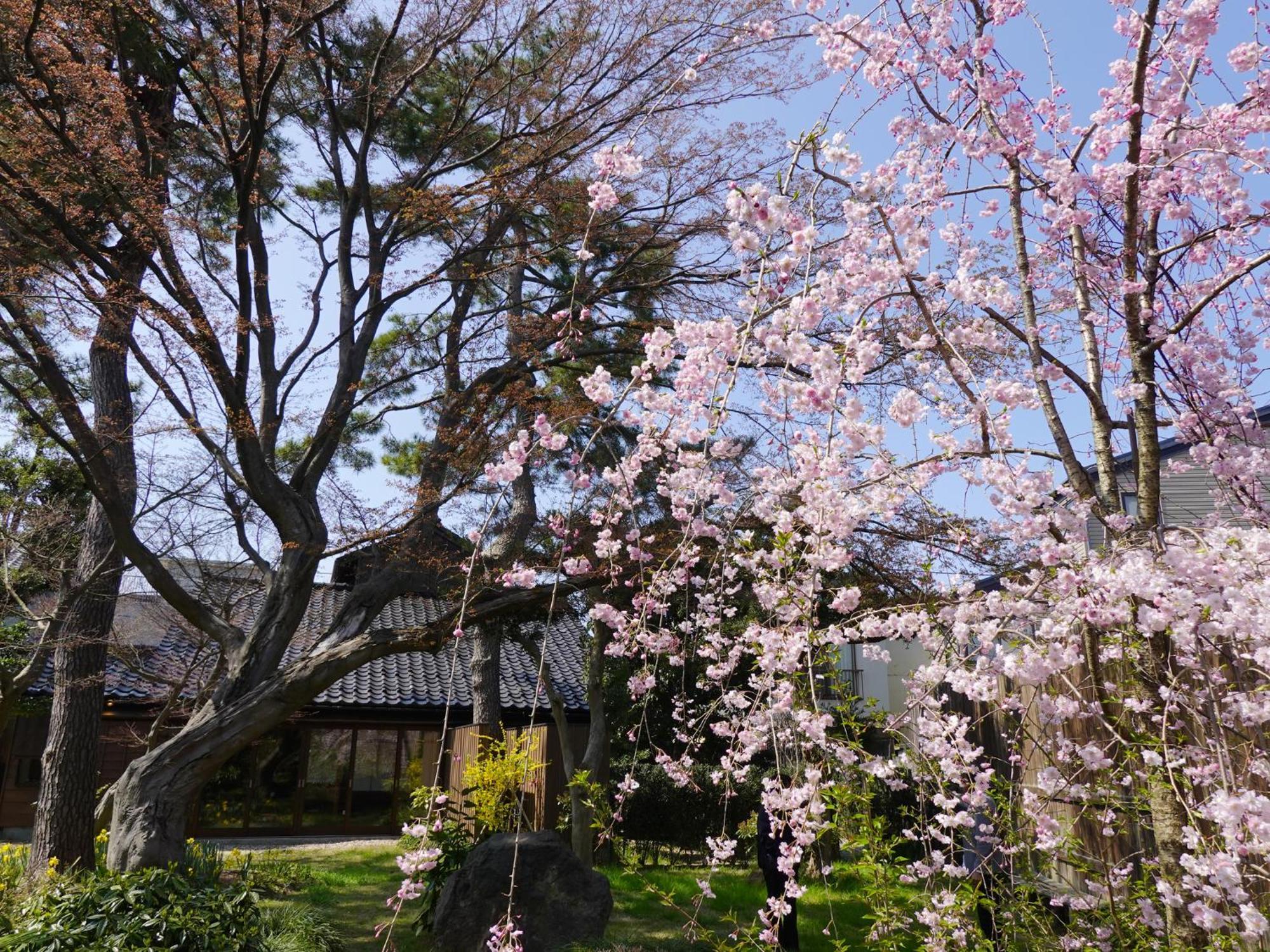 Machi No Odoriba Hotel Kanazawa Exterior photo